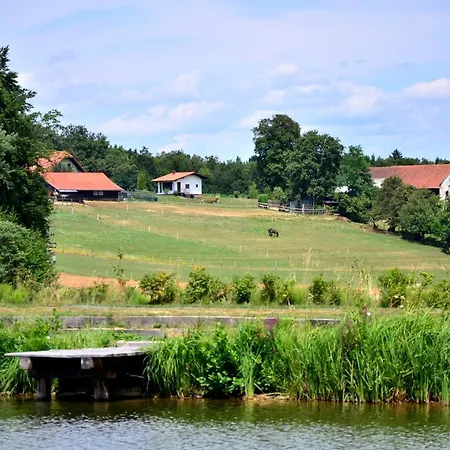 Appartement Apartma Kapelski Fant