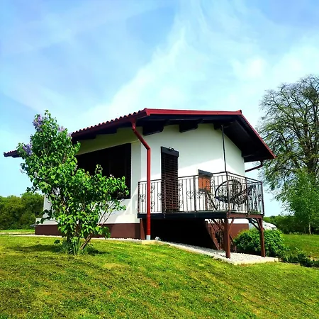Apartment Apartma Kapelski Fant *