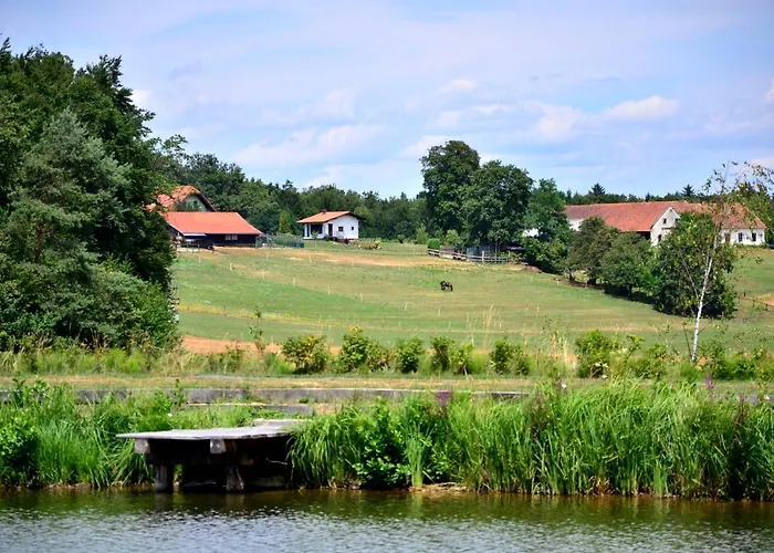 Appartamento Apartma Kapelski Fant