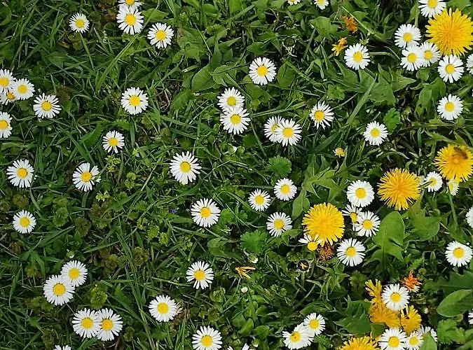 Appartamento Apartma Kapelski Fant Sveti Jurij ob Scavnici