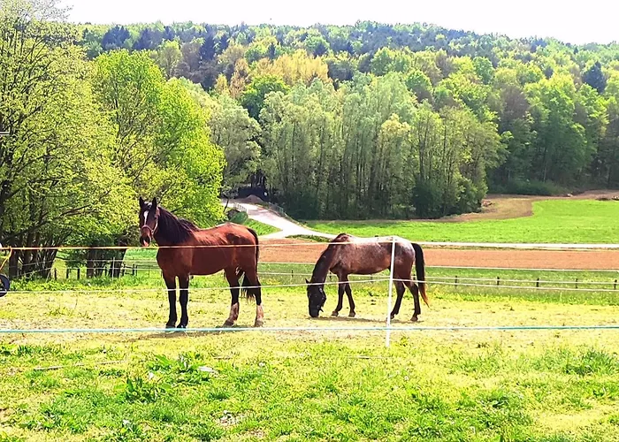Apartma Kapelski Fant Appartamento